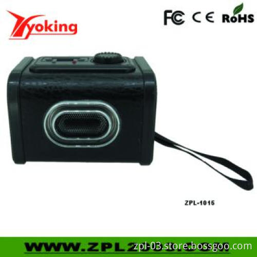 2012 Newest Wooden Portable Speaker (ZPL-1015)